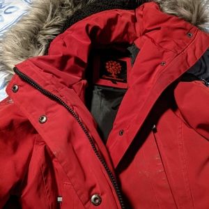 Women's winter coat